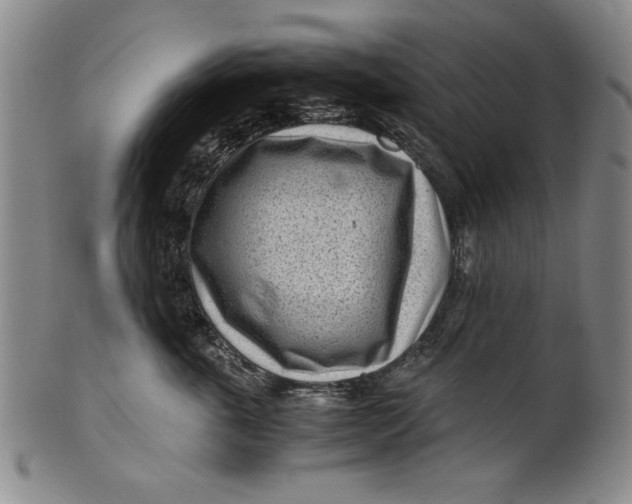 X0000101960763200808081528