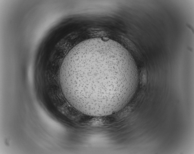 X0000101960764200808081528