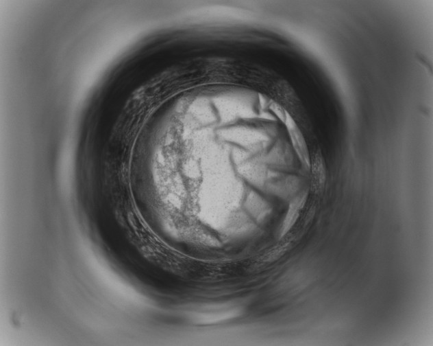 X0000101960765200808081528