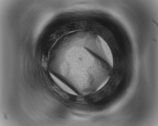 X0000101960766200808081528