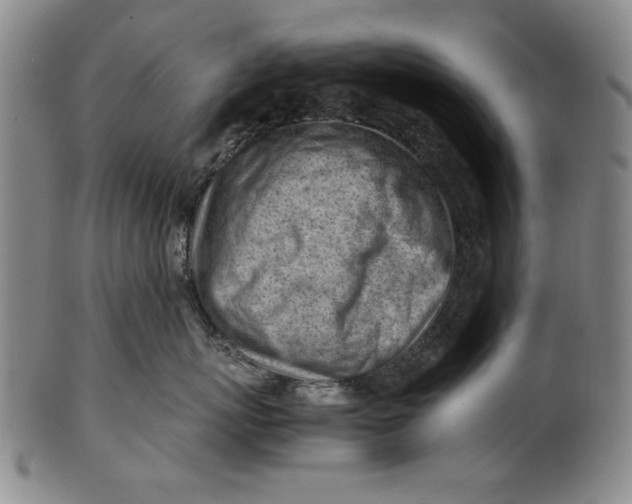 X0000101960767200808081528