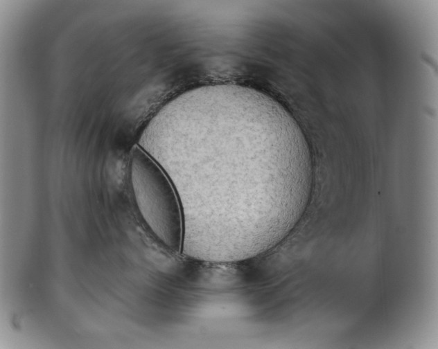 X0000101960768200808081528