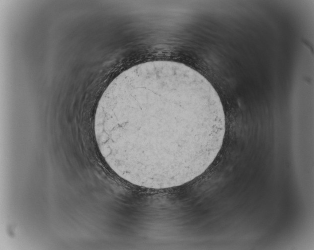 X0000101960769200808081527