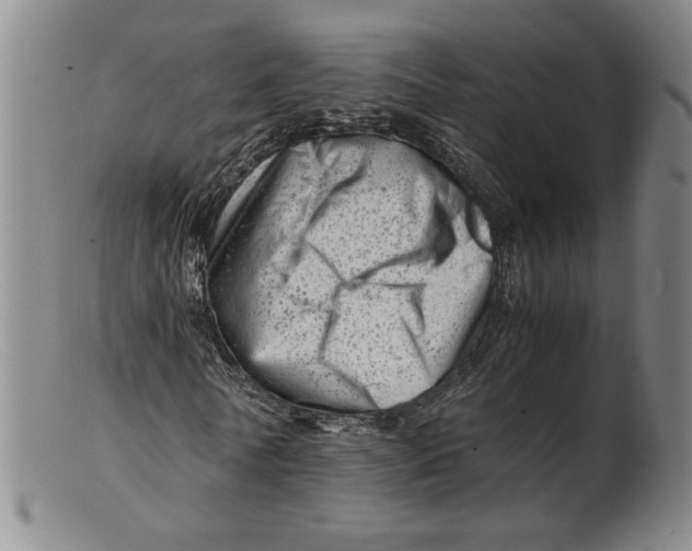 X0000101960770200808081527