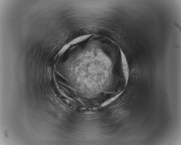 X0000101960772200808081527