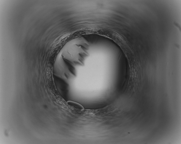 X0000101960773200808081527