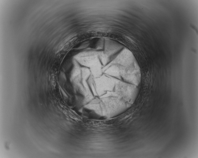 X0000101960774200808081527