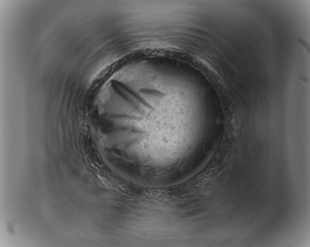 X0000101960775200808081527