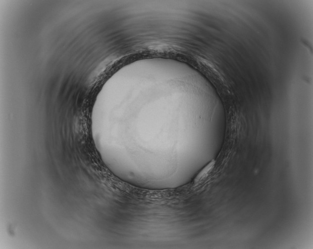 X0000101960776200808081527