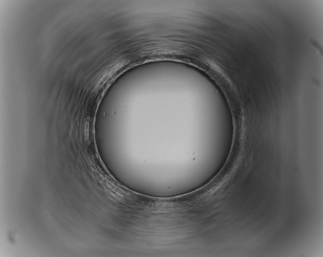 X0000101960777200808081527