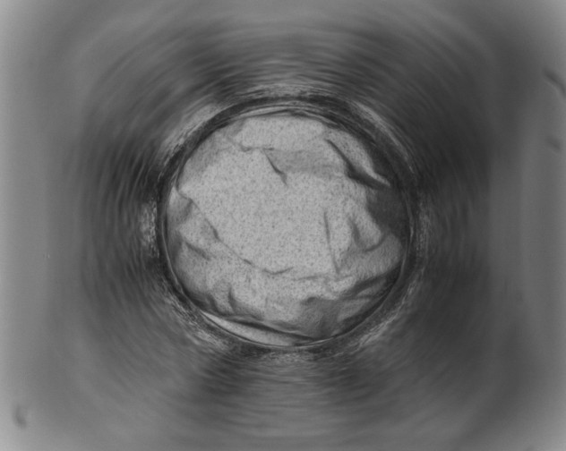 X0000101960778200808081527