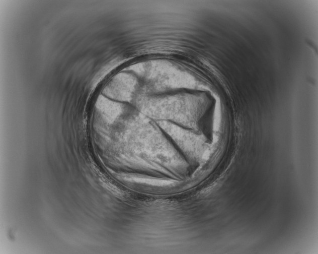 X0000101960779200808081527