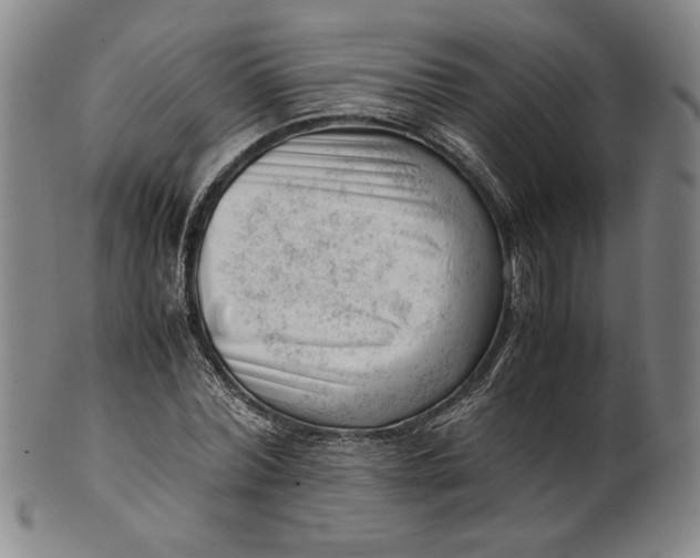 X0000101960780200808081527