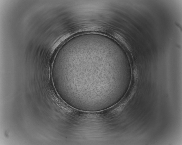 X0000101960781200808081527