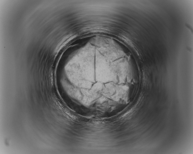 X0000101960782200808081527