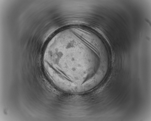 X0000101960783200808081527