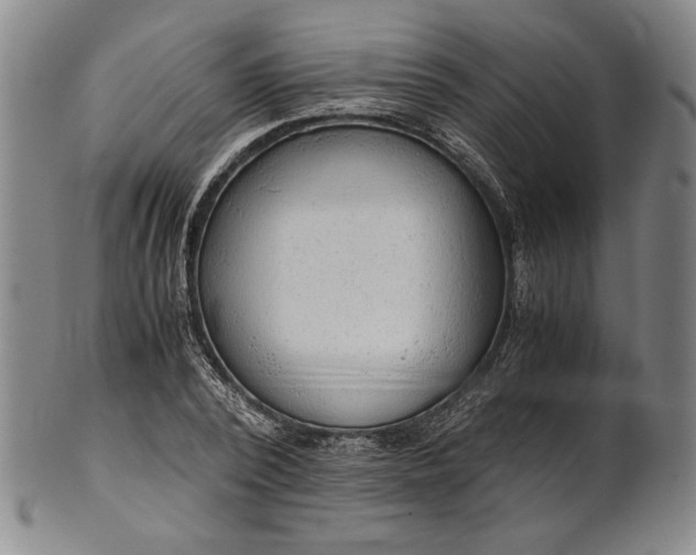 X0000101960784200808081527