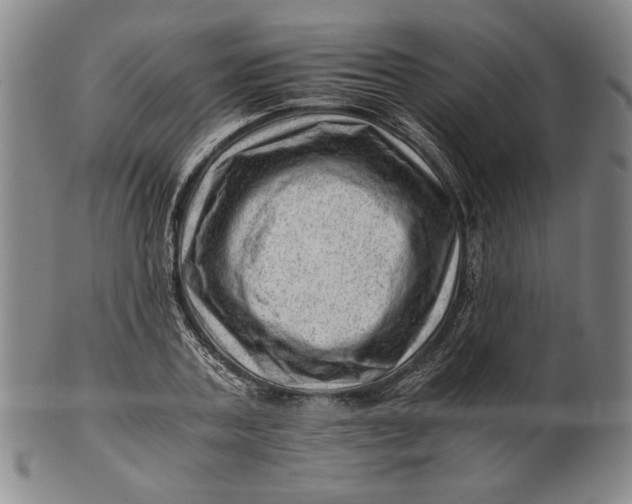 X0000101960787200808081527