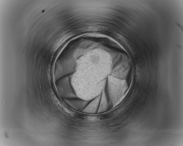 X0000101960794200808081527