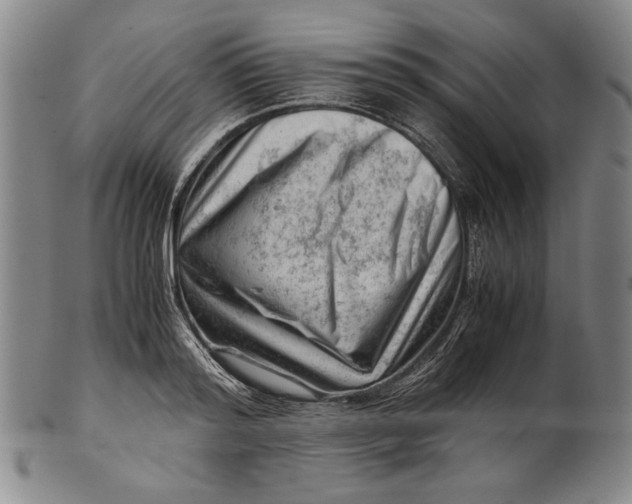 X0000101960796200808081527