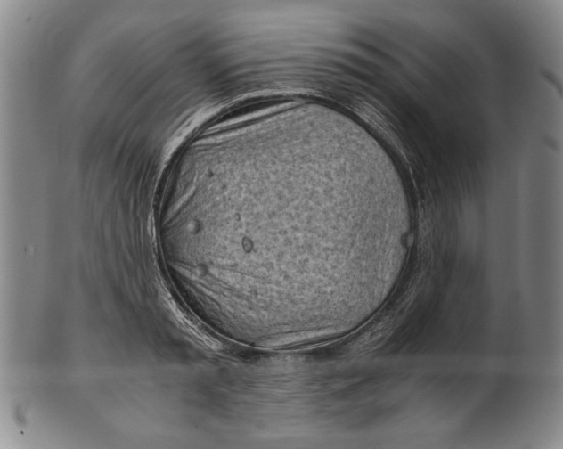 X0000101960797200808081527