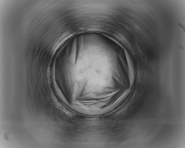 X0000101960798200808081527