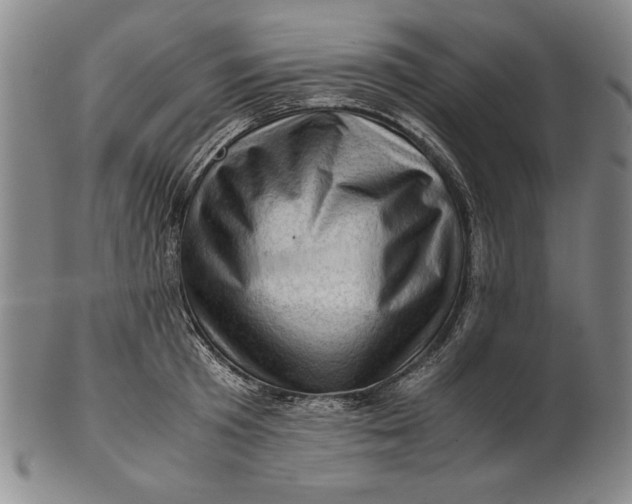 X0000101960801200808081527