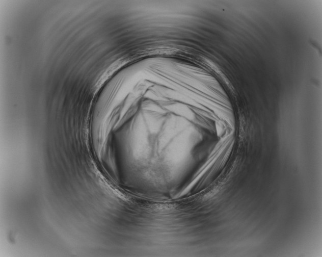 X0000101960802200808081527