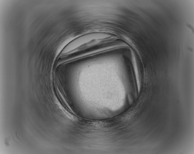 X0000101960803200808081527