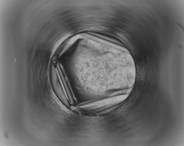 X0000101960804200808081527