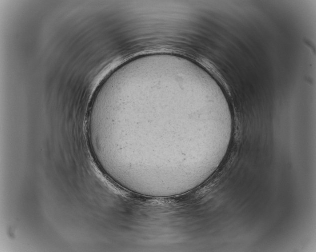 X0000101960805200808081527