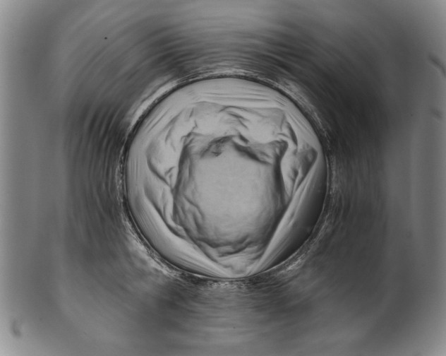 X0000101960806200808081527