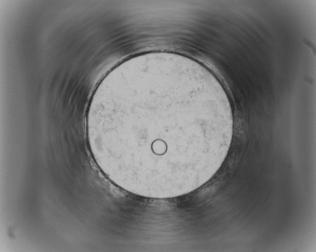 X0000101960807200808081527