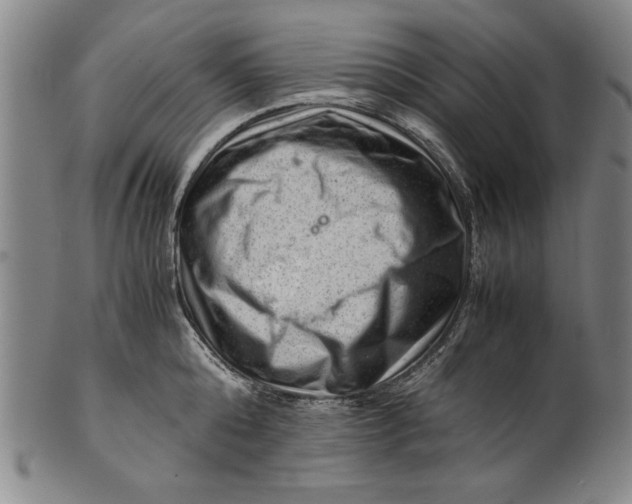 X0000101960808200808081527