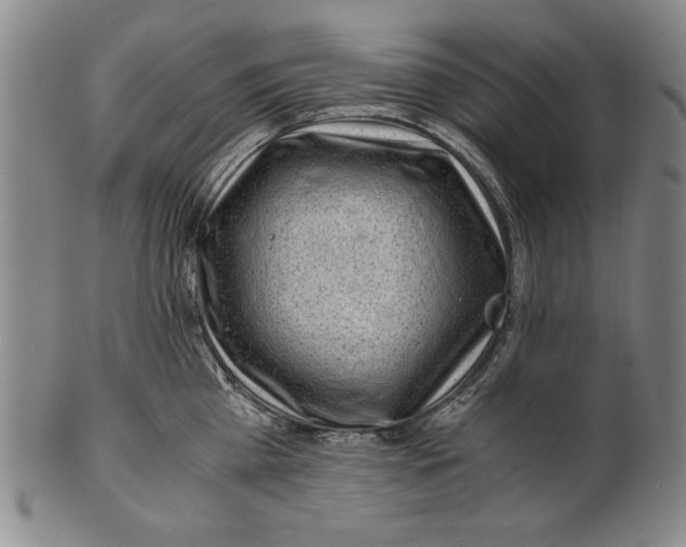 X0000101960809200808081527