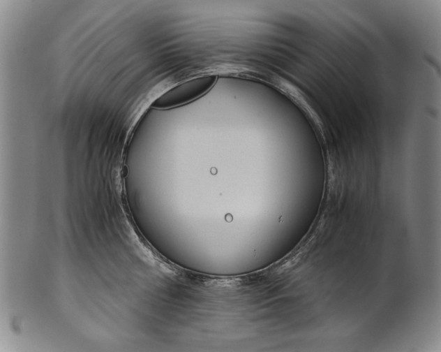 X0000101960810200808081527