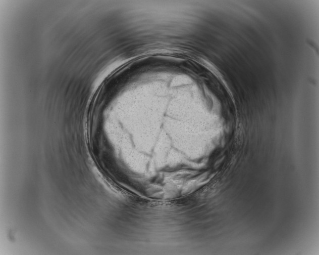 X0000101960811200808081527