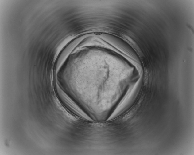 X0000101960812200808081527