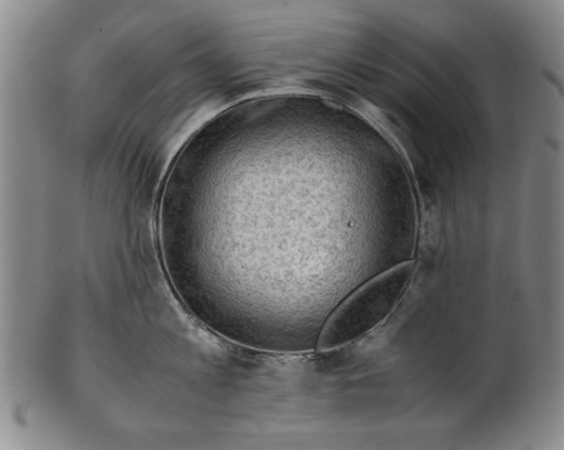 X0000101960813200808081527