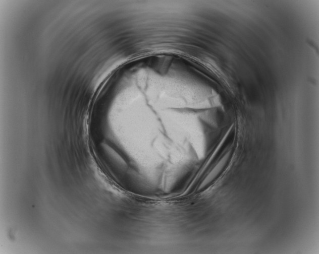 X0000101960814200808081527