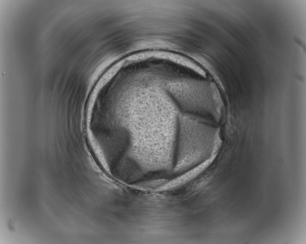 X0000101960815200808081527