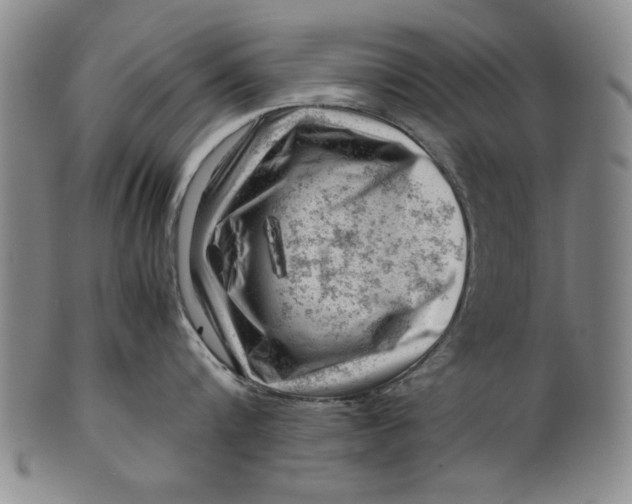 X0000101960816200808081527