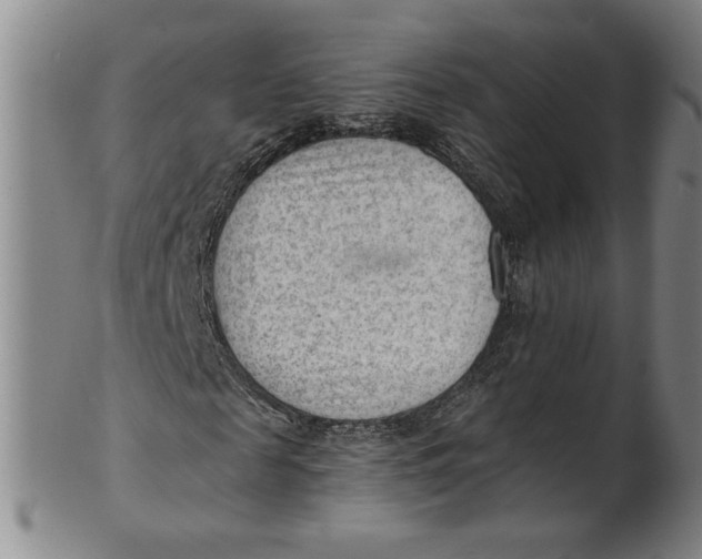 X0000101960817200808081526