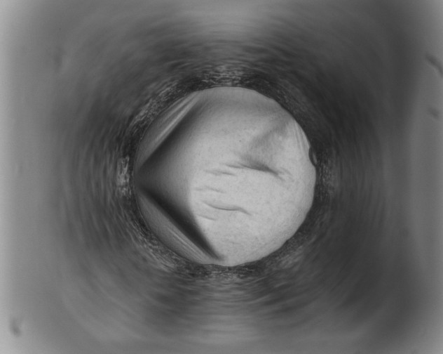 X0000101960818200808081526