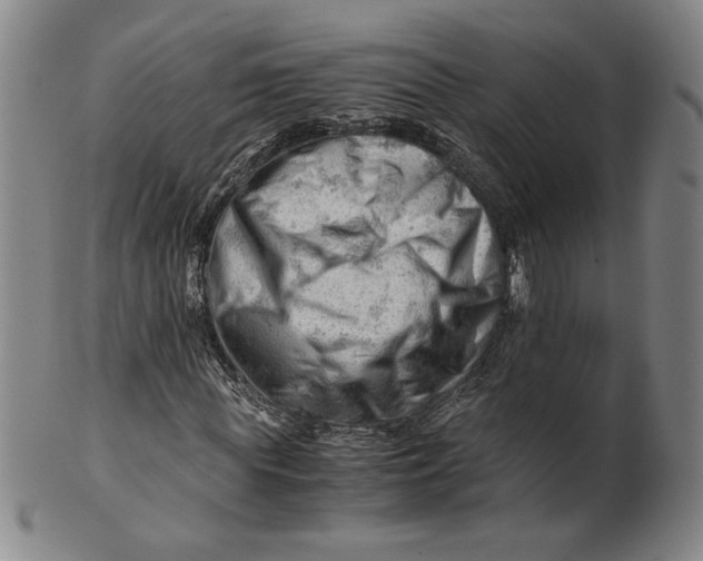 X0000101960819200808081526