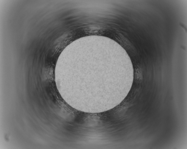 X0000101960820200808081526