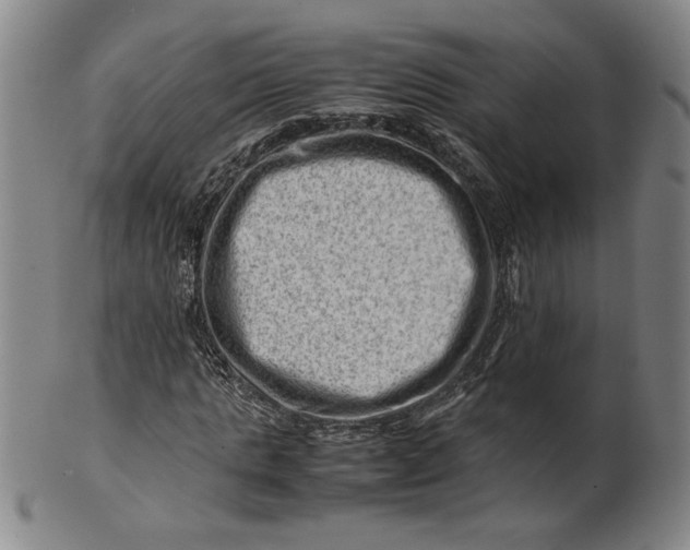 X0000101960821200808081526