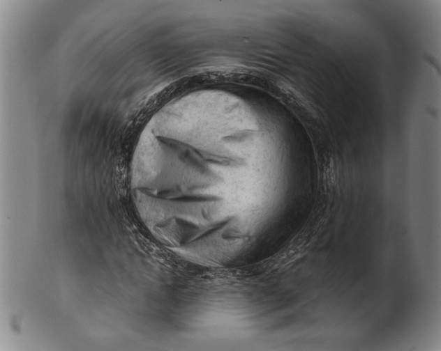 X0000101960822200808081526