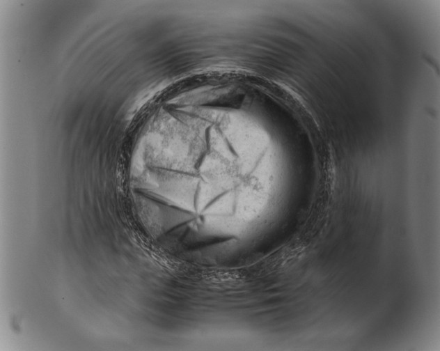 X0000101960823200808081526