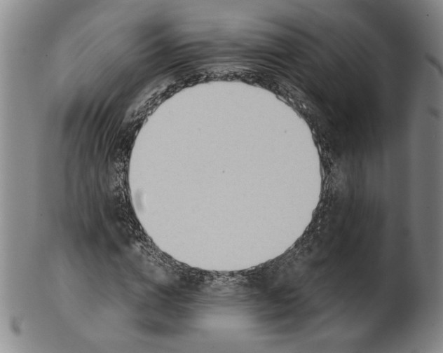 X0000101960824200808081526